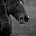 ���� �������, ��, �������� - ��������� 15 ������� 2012 � ������ �������...�