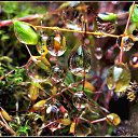 ���� ������, ������, 34 ���� - ��������� 26 ��� 2010 � ������ ����� � ��������