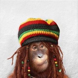 ����, ������, 67 ���