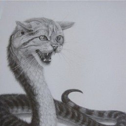 ���� ����, �����-���������, 46 ��� - ��������� 21 ����� 2012