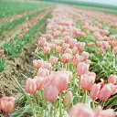 ���� Ma Ri, �������, 33 ���� - ��������� 7 ������� 2010 � ������ �������