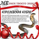 ���� ����, ������� - ��������� 4 ���� 2013 � ������ �2013 ��� - ��� ����