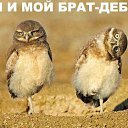  , -, 39  -  10  2009    