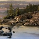  , , 47  -  5  2010   3