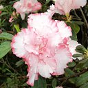 ���� �������, ������, 65 ��� - ��������� 9 ����� 2012 � ������ ������-���������