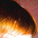 ���� ����, ������, 32 ���� - ��������� 2 ��� 2010 � ������ ���� ����������