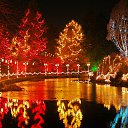   :),  -  5  2010    ( )