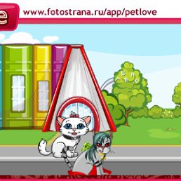 ���� ���, ����������, 50 ��� - ��������� 28 ������� 2010