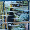 ���� �������, ������������ - ��������� 2 ���� 2010 � ������ �������