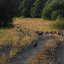 ���� ������, �������� - ��������� 16 ������� 2012 � ������ �������