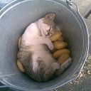 ���� Myrzik8002, ����, 43 ���� - ��������� 14 ������� 2009 � ������ �������