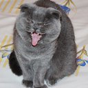 ���� �����, ������, 59 ��� - ��������� 16 ������� 2012 � ������ �������