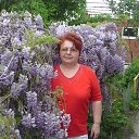 ���� ������, ����������, 76 ��� - ��������� 22 ��� 2013