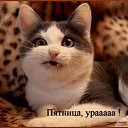 ���� ������, ����� - ��������� 16 ������� 2011 � ������ ��������