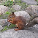 ���� �����, �����, 65 ��� - ��������� 14 ������ 2010 � ������ ��������� ���������� �� �����������.�