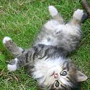 ���� ������, ��������� - ��������� 30 ������ 2013