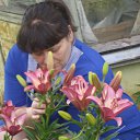   (˸), , 56  -  5  2012   Ż