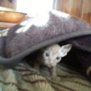 ���� �������, ���������� ����� - ��������� 28 ������ 2013 � ������ �������