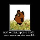 ���� �, ��������� - ��������� 13 ���� 2013 � ������ ���� ����������