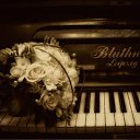 ���� ����), ���������� - ��������� 8 ������� 2009 � ������ �@}-}--�