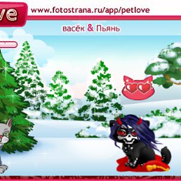 ���� ����, �����-���������, 24 ���� - ��������� 14 ������� 2011