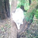 ���� Dark Snow, ������, 47 ��� - ��������� 13 ������ 2012 � ������ �����ܻ