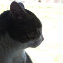 ���� ���-�� �������, ������, 47 ��� - ��������� 26 ��� 2013 � ������ ���� ����������