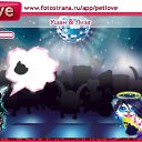  ,  -  24  2010   PetLove