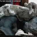 ���� �������, �������, 59 ��� - ��������� 18 ��� 2011 � ������ �������