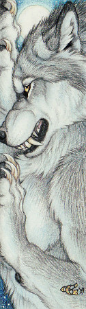 ���� ˸��, �������, 34 ���� - ��������� 21 ������� 2011 � ������ �goldenwolf�