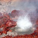 ���� ���������, ������, 41 ��� - ��������� 20 ������ 2012 � ������ �Avataria�