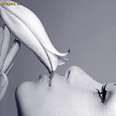 ���� ��������, �����������, 38 ��� - ��������� 14 ���� 2012 � ������ �������