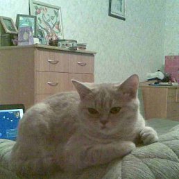 ���� Nathalie, �������, 47 ��� - ��������� 13 ������ 2010