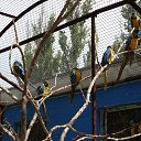 ���� Nik, �����, 63 ���� - ��������� 2 ���� 2012 � ������ ���� ���������