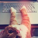 ����� ^^