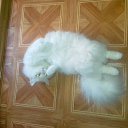 ���� ���������, ����, 53 ���� - ��������� 12 ������� 2012 � ������ ������