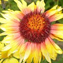 ���� �������, ������, 28 ��� - ��������� 14 ������� 2010