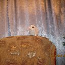 ���� ����, ��������� - ��������� 9 ������ 2011 � ������ ���� ������ ������!�