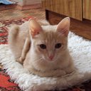 ���� Vladimir, ������������, 46 ��� - ��������� 28 ��� 2011 � ������ �������