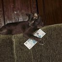 ���� �������, ������, 68 ��� - ��������� 1 ������ 2011 � ������ ���������, �������, �������� (����� � �����)�