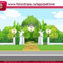���� ����, ������-��-����, 22 ���� - ��������� 9 ������ 2011 � ������ �PetLove�