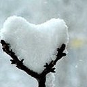 ���� ������, ����� - ��������� 20 ��� 2012 � ������ ���� ����������