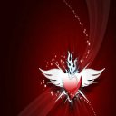 ���� ���������, �����������, 43 ���� - ��������� 5 ������� 2012 � ������ �_.-;(*,!,*);-,_�