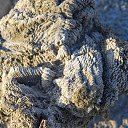 ���� ���������, ��������-��-������ - ��������� 7 ���� 2013 � ������ ���� ����������