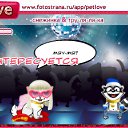 ���� �����, ���, 34 ���� - ��������� 4 ������ 2011 � ������ �PetLove�