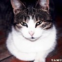 ���� Kaxa, �������, 56 ��� - ��������� 3 ���� 2013 � ������ ����� ��� ������������