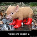 ���� Damyan Nikolov, �����, 64 ���� - ��������� 19 ������� 2012 � ������ �������