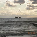 ���� ������, �������, 45 ��� - ��������� 29 ������� 2012 � ������ ���� ����������