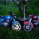 ���� �����, �����, 33 ���� - ��������� 25 ��� 2011 � ������ �������