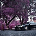 ���� � � � � �, ����, 61 ��� - ��������� 12 ��� 2012 � ������ ������ �����ۻ